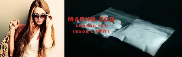 трава Аркадак