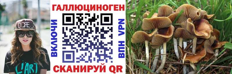 KRAKEN онион Боровск Псилоцибиновые грибы Psilocybine cubensis